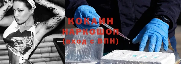 индика Белокуриха