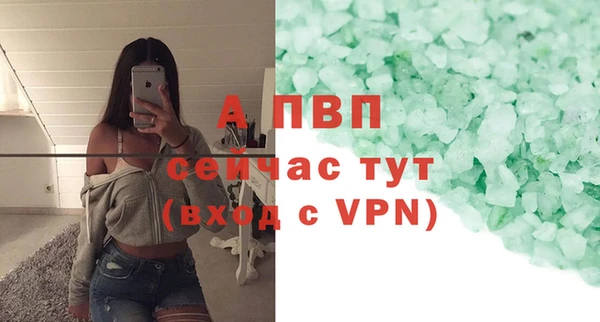 метадон Богданович