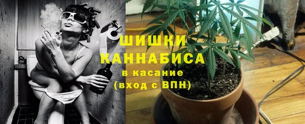 индика Белокуриха