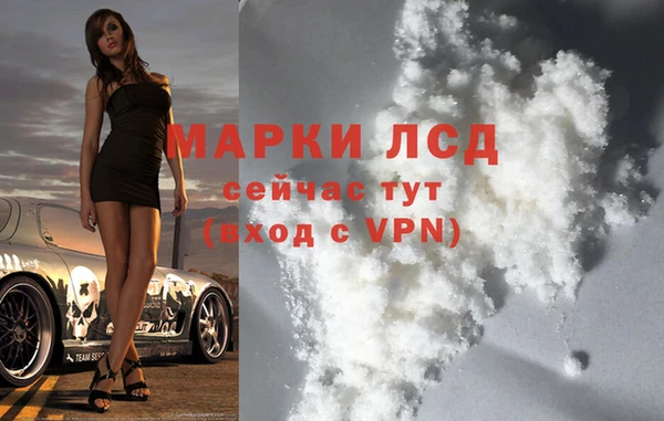 индика Белокуриха