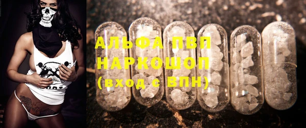 индика Белокуриха