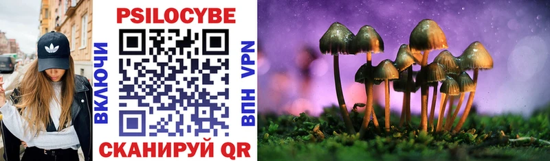 shop как зайти  Верхотурье  Галлюциногенные грибы Magic Shrooms 